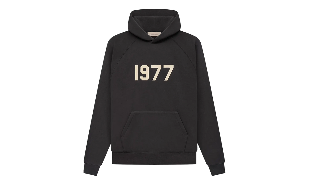 1977 Hooded Sweatshirt "Iron" 192BT212050F