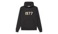 1977 Hooded Sweatshirt "Iron" 192BT212050F